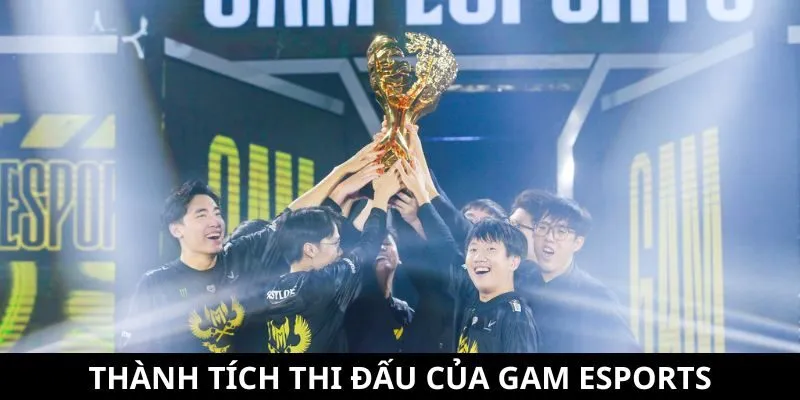 Tổng hợp thành tích Tổng hợp thành tích