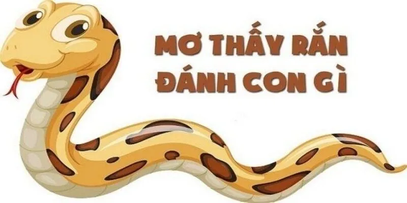 Những con số may mắn liên quan đến giấc mơ gặp xà