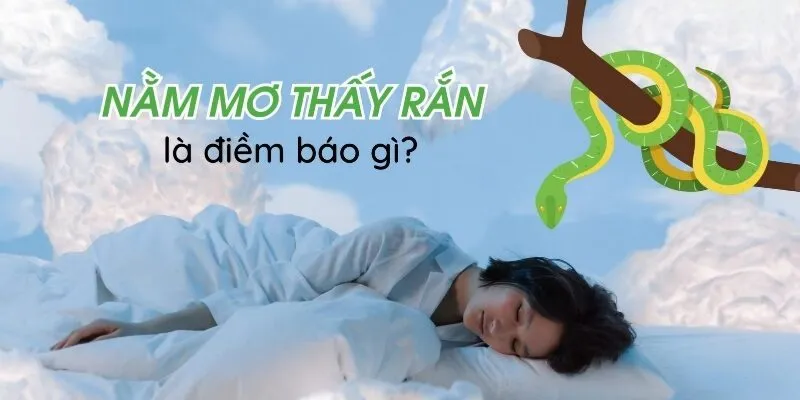 Nằm mơ thấy rắn